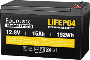 12V 15Ah Deep Cycle LiFePO4 Battery, 3000  Cycles, Maintenance-Free Battery for Fish Finder, Scooter, Security System, Solar System, UPS etc Rechargeable Lithium Iron Phosphate