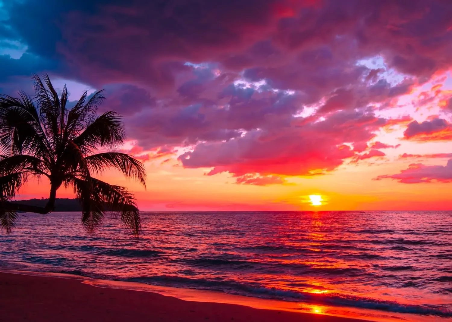 BELECO 7x5ft Fabric Sunset Beach Backdrop Tropical Seaside Coconut Palm Trees Background Backdrop Summer Beach Sunset Hawaii Luau Party Decorations Birthday Photoshoot Studio Photo Props