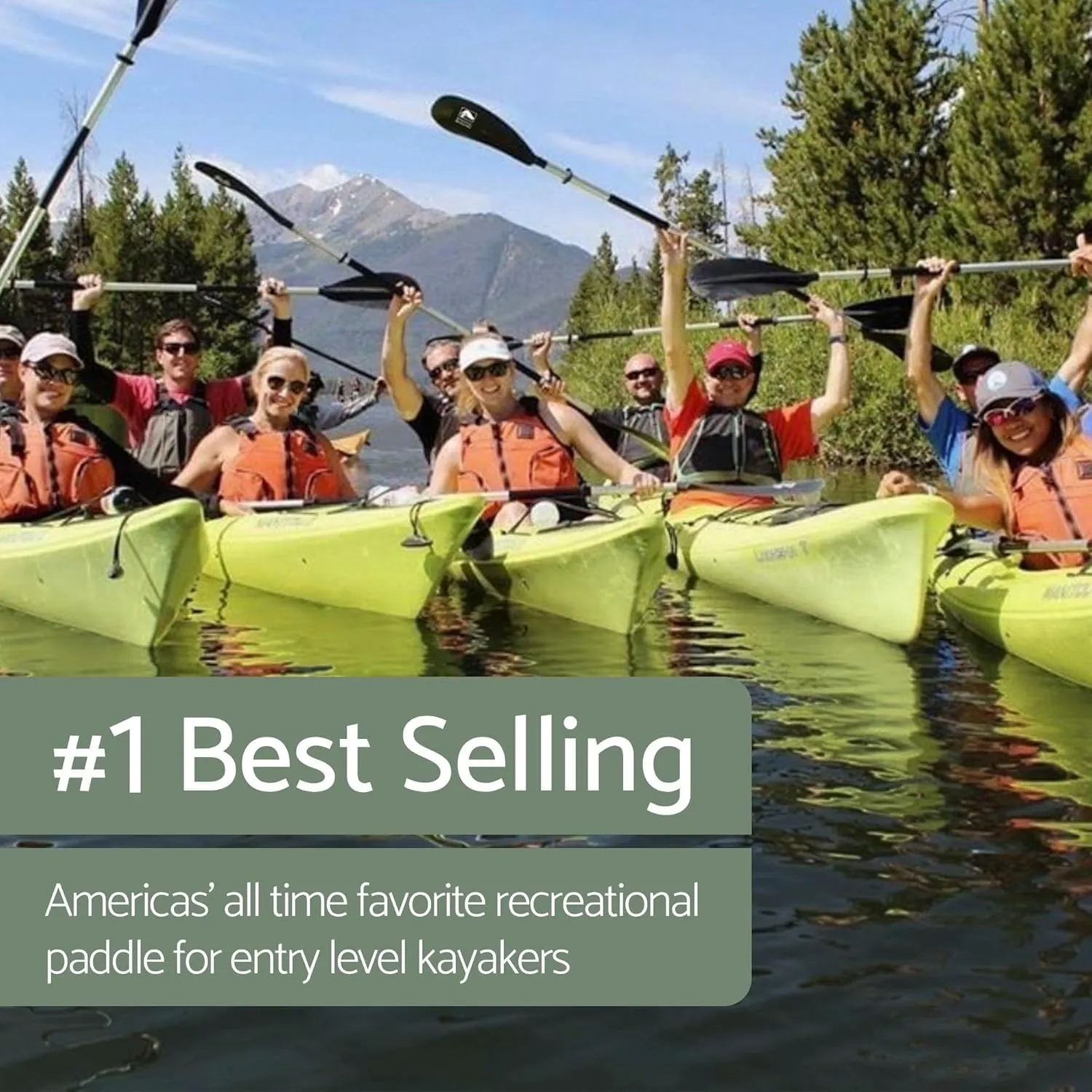 BENDING BRANCHES Whisper 2-Piece Recreational Kayak Paddle
