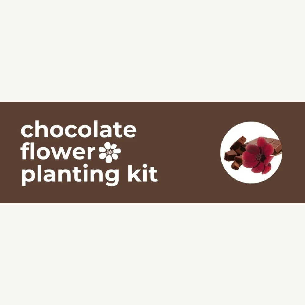 DIY Planting Kit | 18 Seed Types | Small Gift