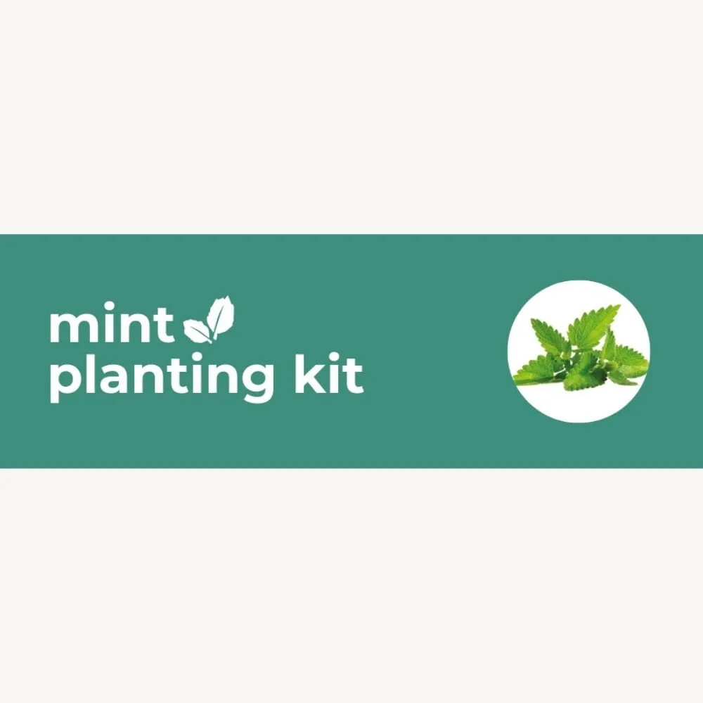 DIY Planting Kit | 18 Seed Types | Small Gift