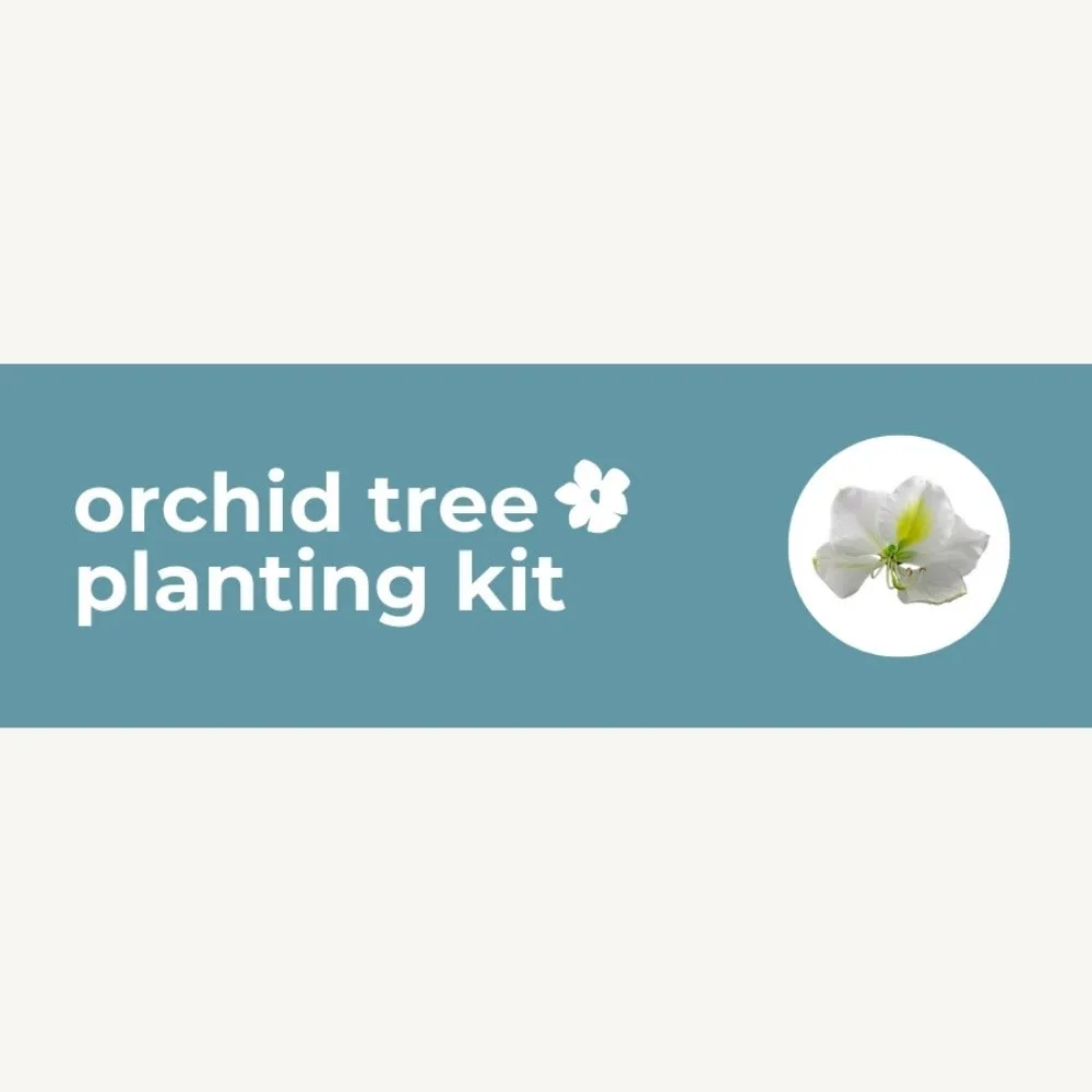 DIY Planting Kit | 18 Seed Types | Small Gift