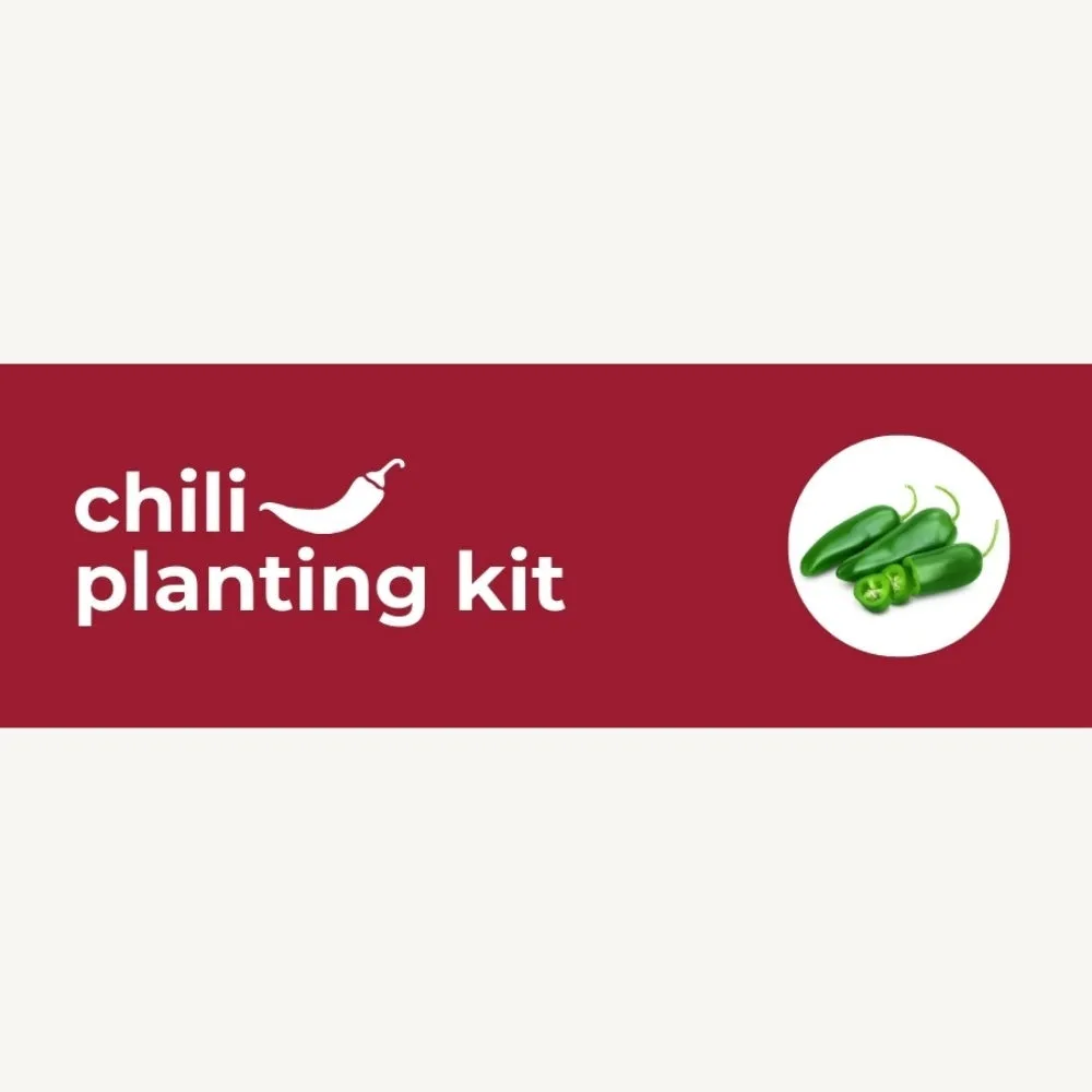 DIY Planting Kit | 18 Seed Types | Small Gift