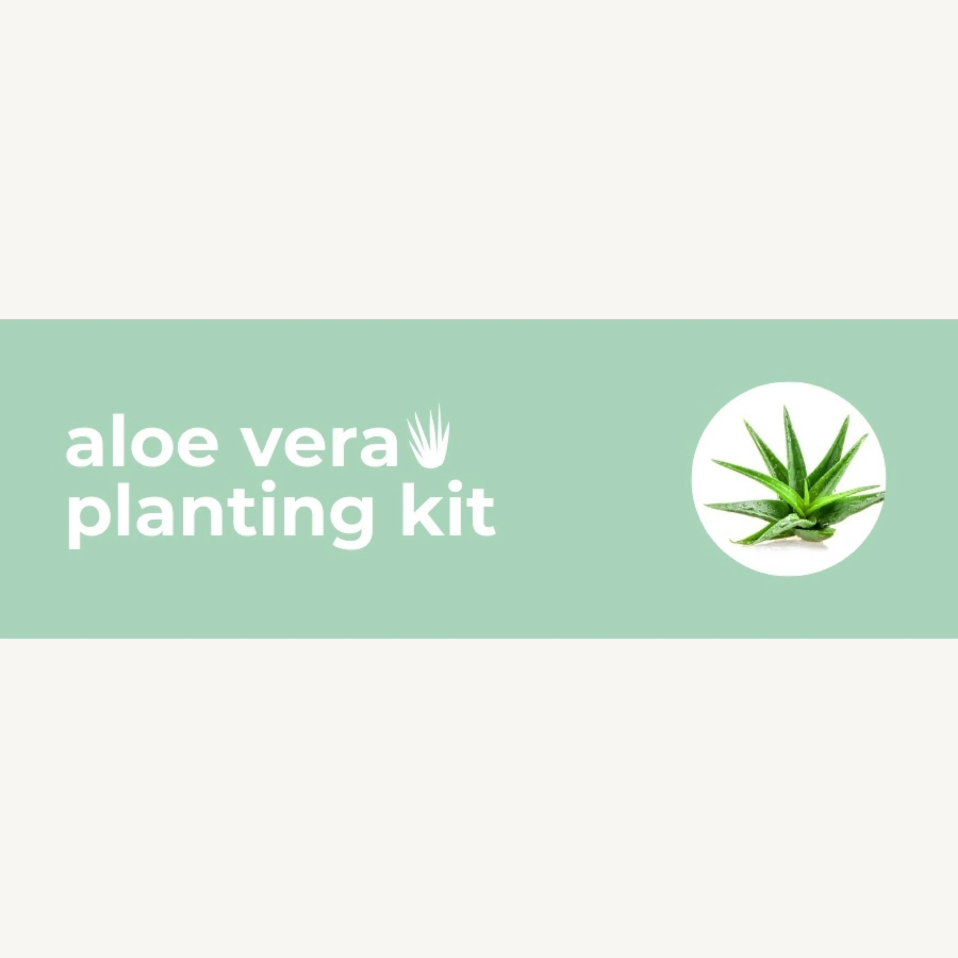 DIY Planting Kit | 18 Seed Types | Small Gift