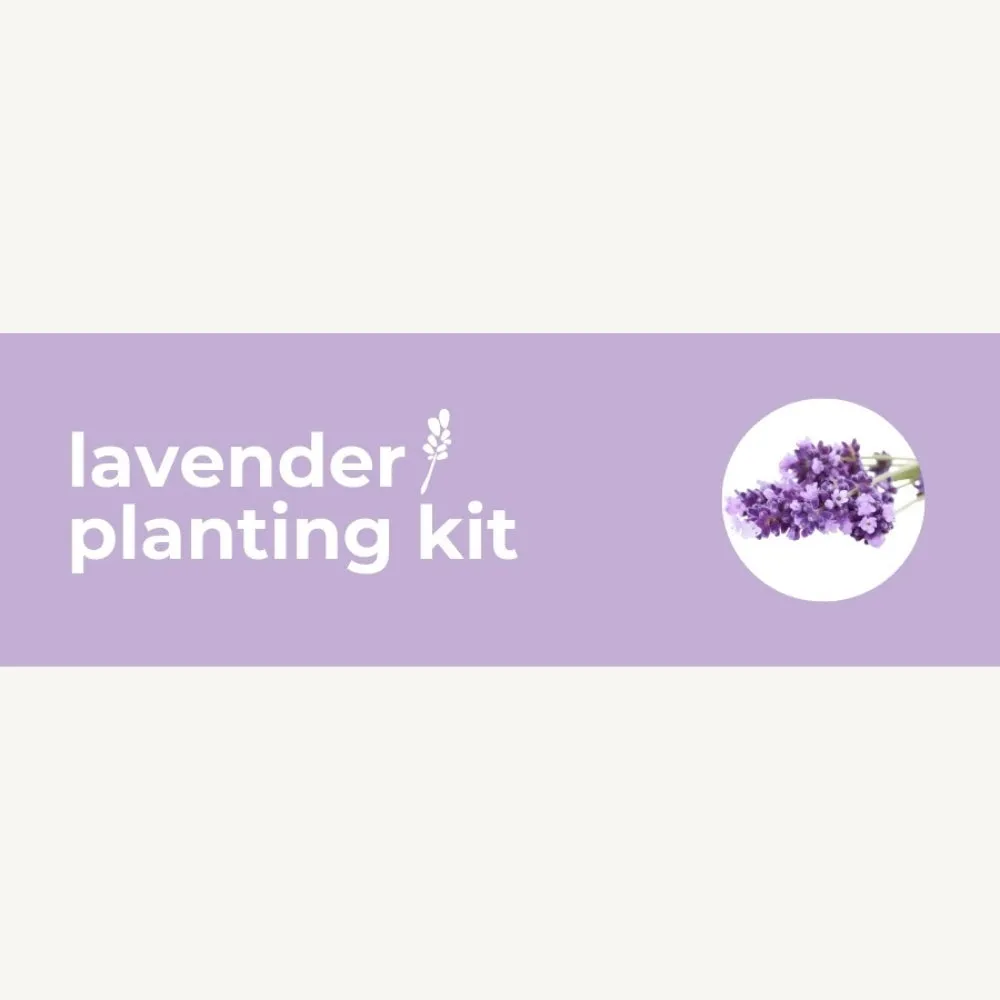 DIY Planting Kit | 18 Seed Types | Small Gift