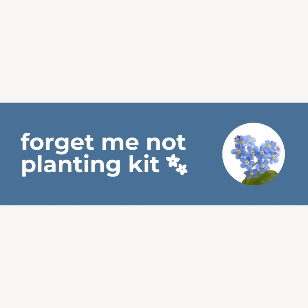 DIY Planting Kit | 18 Seed Types | Small Gift