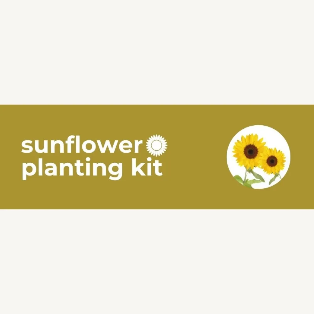DIY Planting Kit | 18 Seed Types | Small Gift
