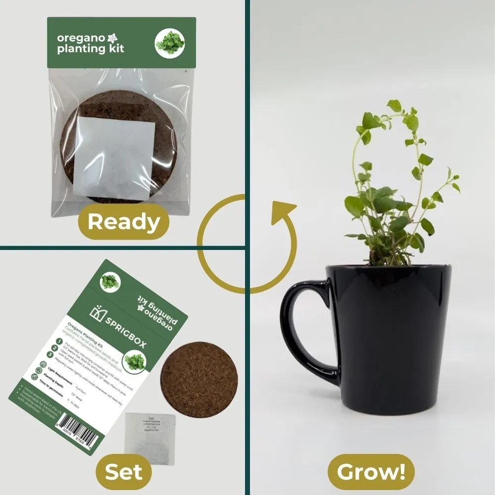DIY Planting Kit | 18 Seed Types | Small Gift