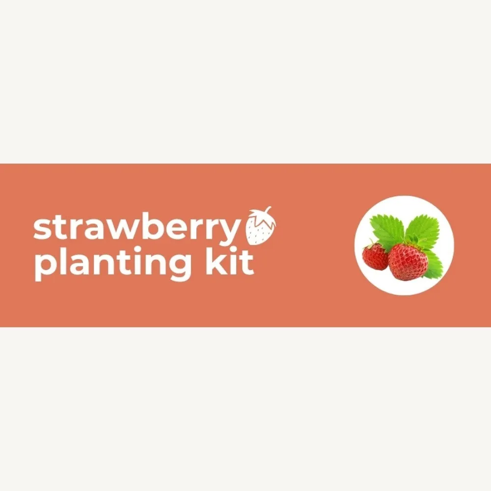 DIY Planting Kit | 18 Seed Types | Small Gift