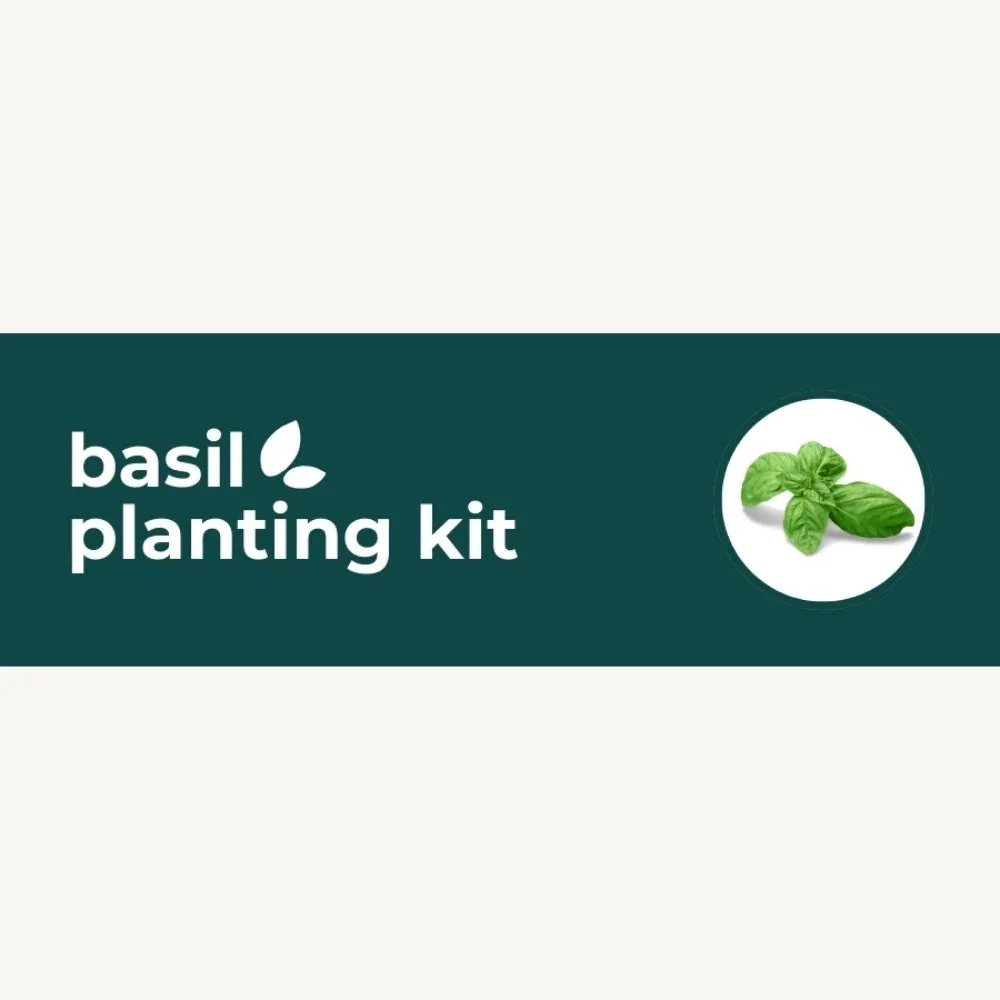 DIY Planting Kit | 18 Seed Types | Small Gift