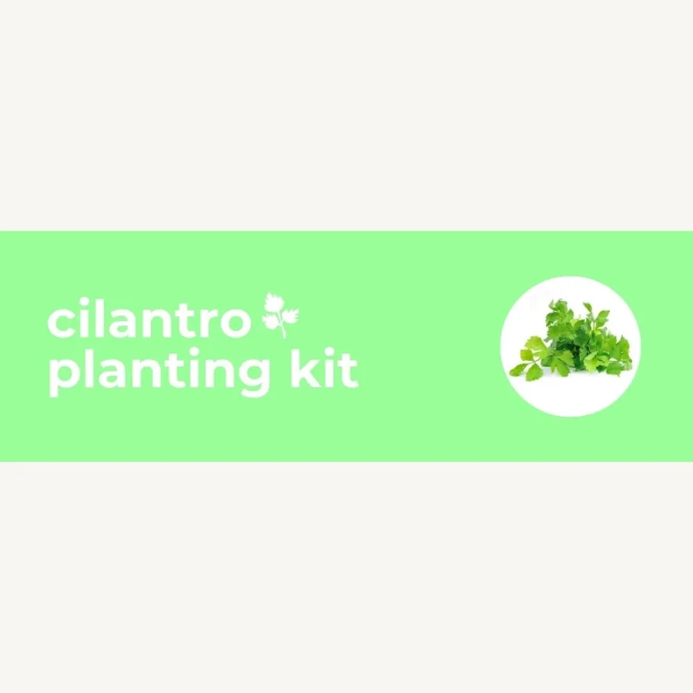 DIY Planting Kit | 18 Seed Types | Small Gift