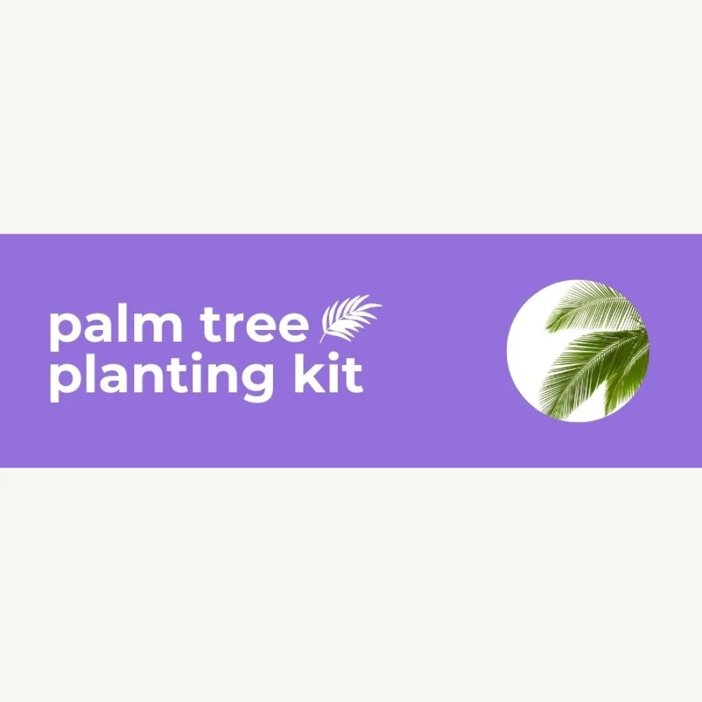 DIY Planting Kit | 18 Seed Types | Small Gift