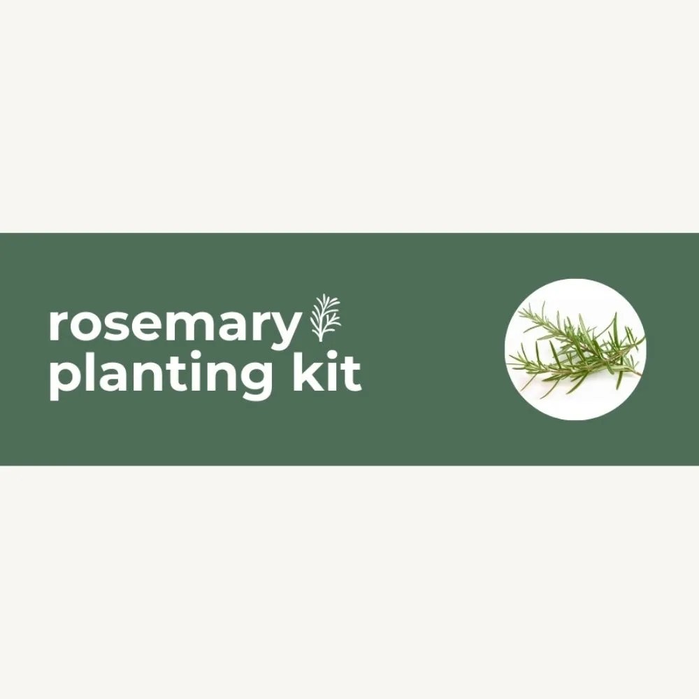 DIY Planting Kit | 18 Seed Types | Small Gift