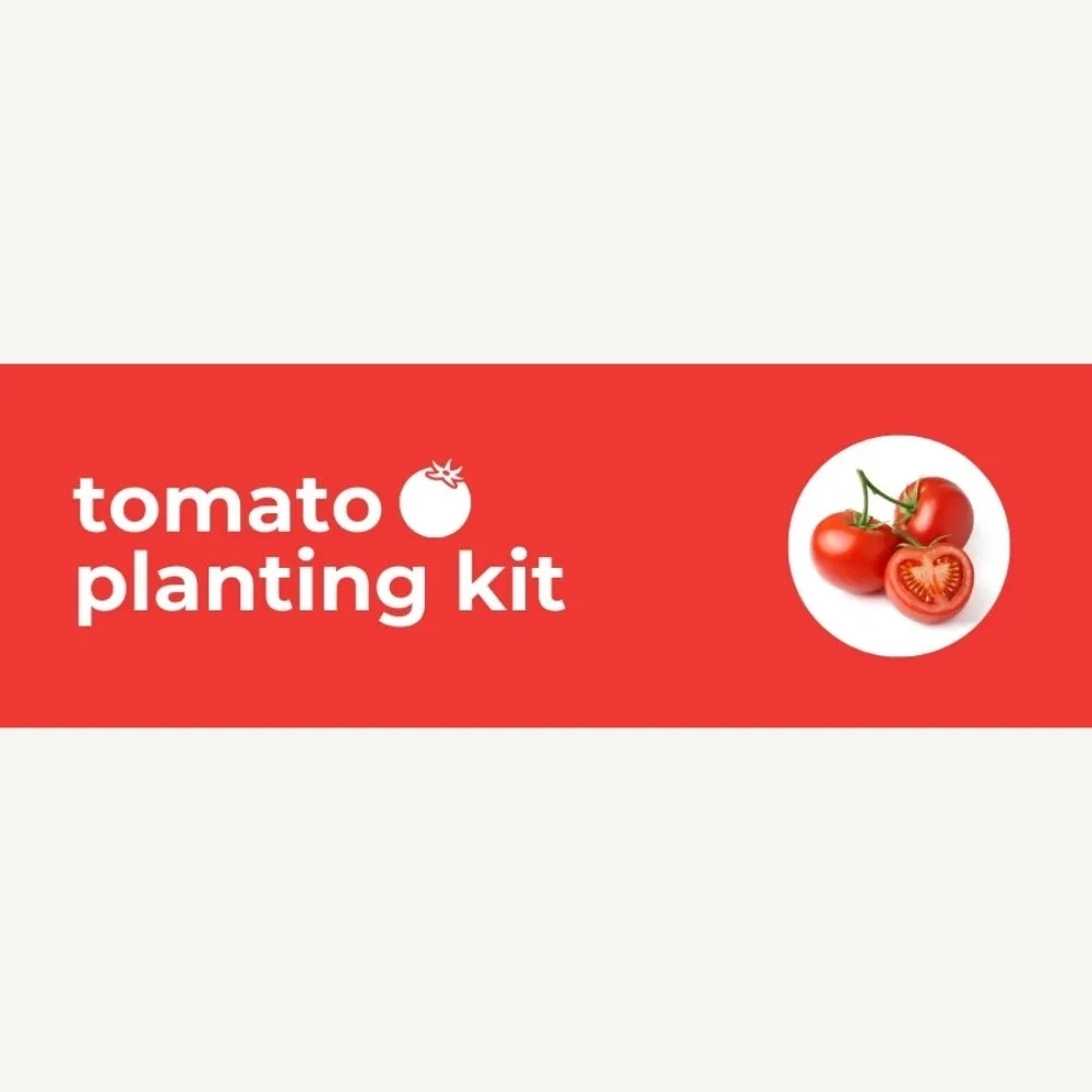 DIY Planting Kit | 18 Seed Types | Small Gift