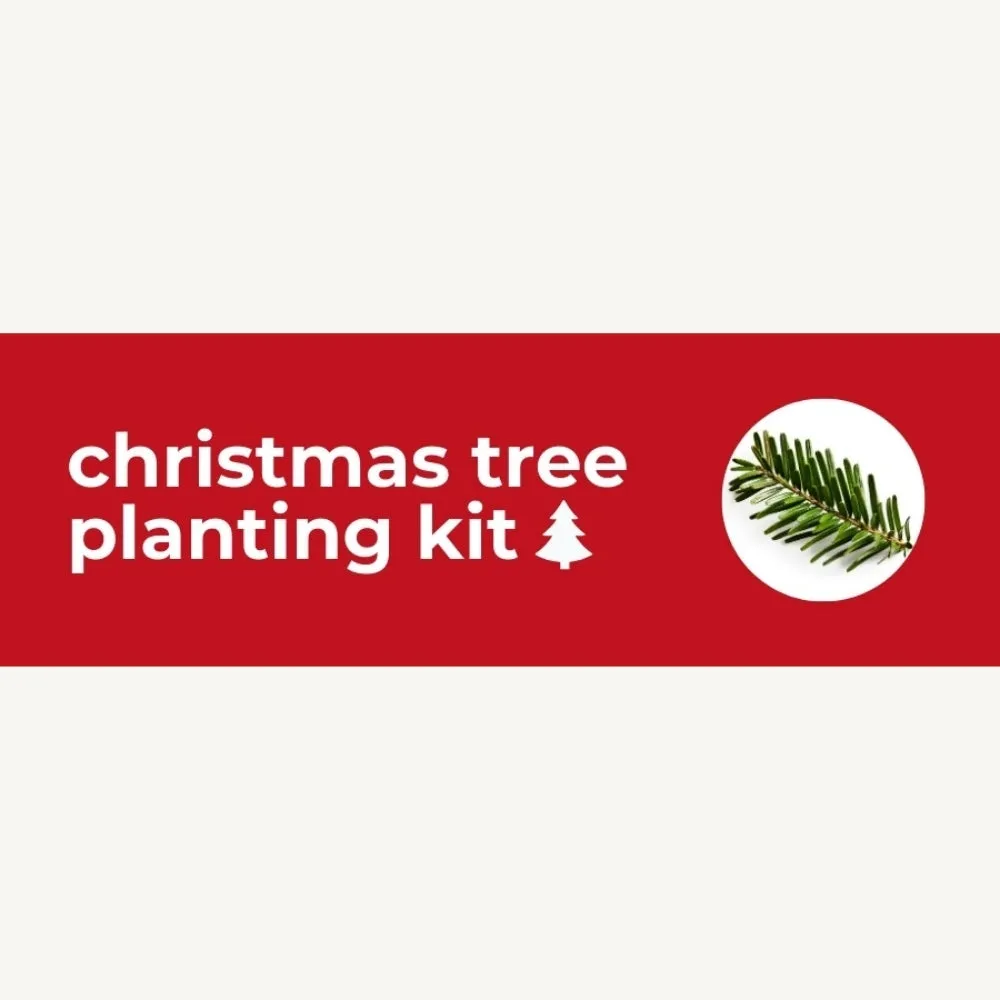 DIY Planting Kit | 18 Seed Types | Small Gift