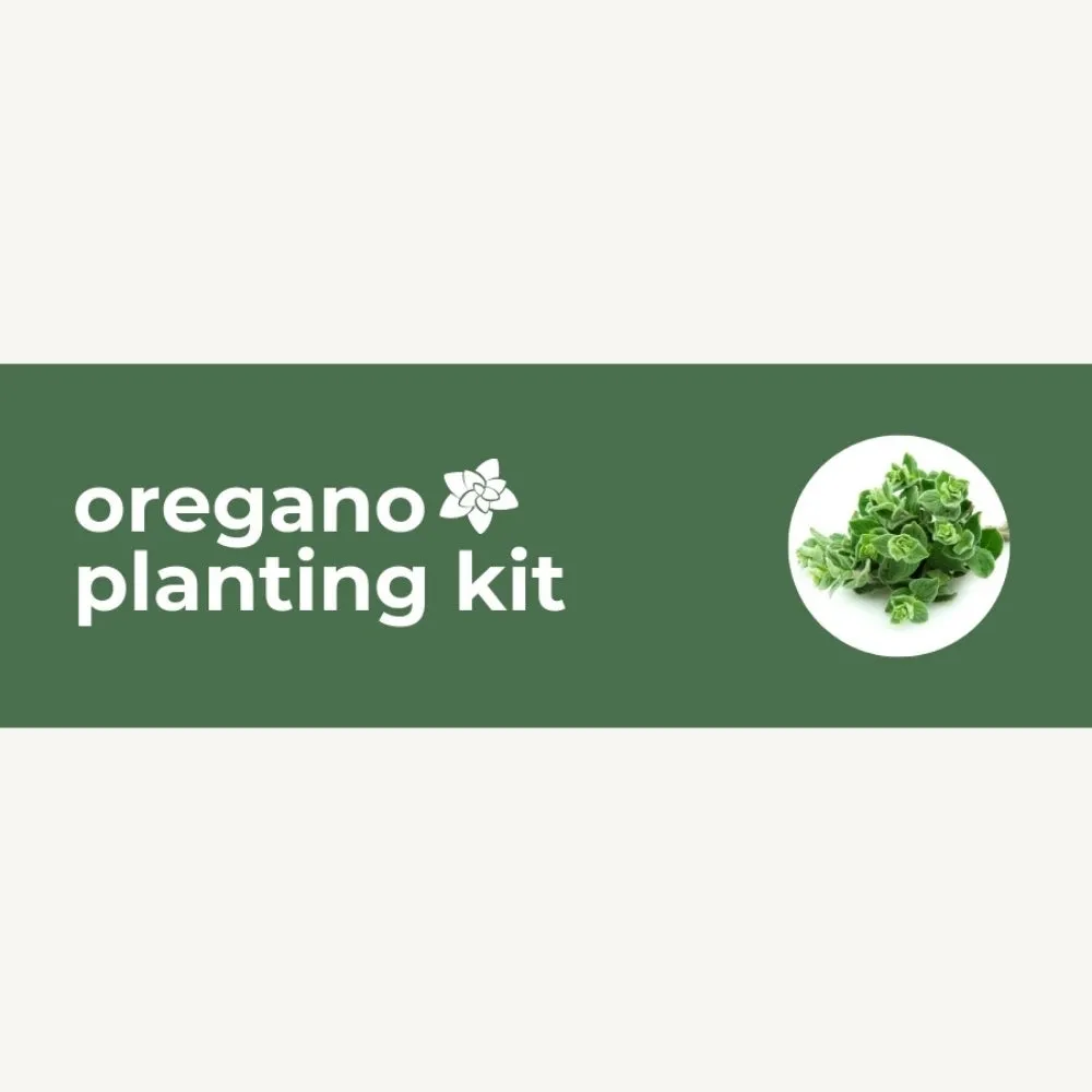 DIY Planting Kit | 18 Seed Types | Small Gift