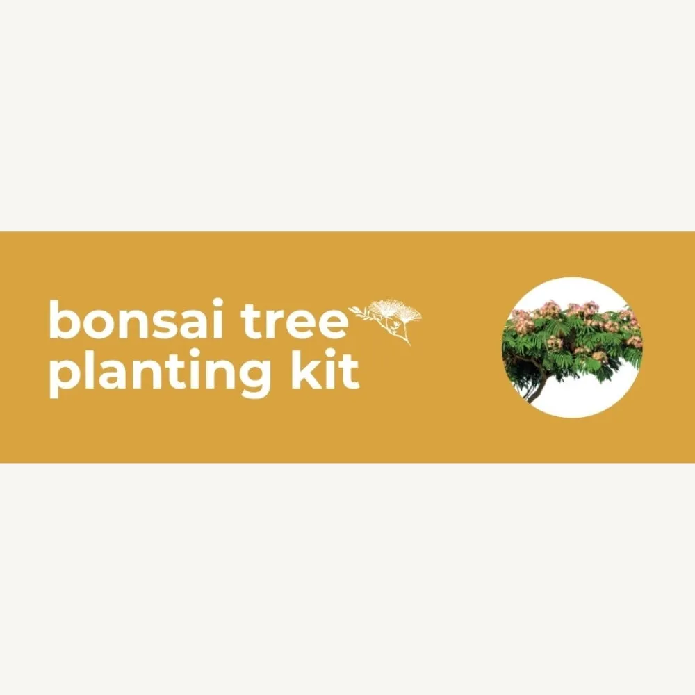 DIY Planting Kit | 18 Seed Types | Small Gift