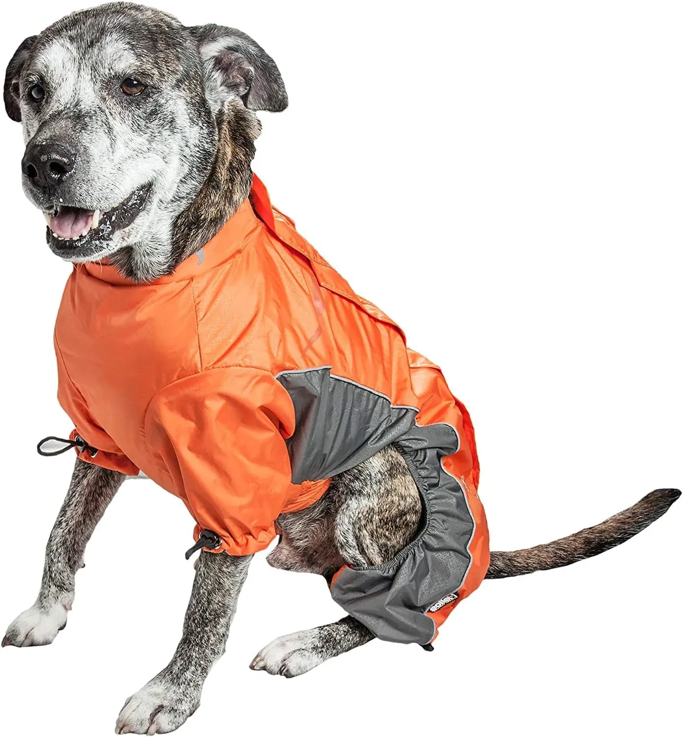 DOGHELIOS 'Blizzard' Full-Bodied Comfort-Fitted Adjustable and 3M Reflective Winter Insulated Pet Dog Coat Jacket w/ Blackshark Technology, Small, Orange