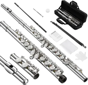 Flutes, Closed Hole C 16 Keys Flute Instrument, Student Flute for Beginner Advanced Player, with Cleaning Kit, Carry Bag, Strap, Probe Rod, Gloves (Nickel)