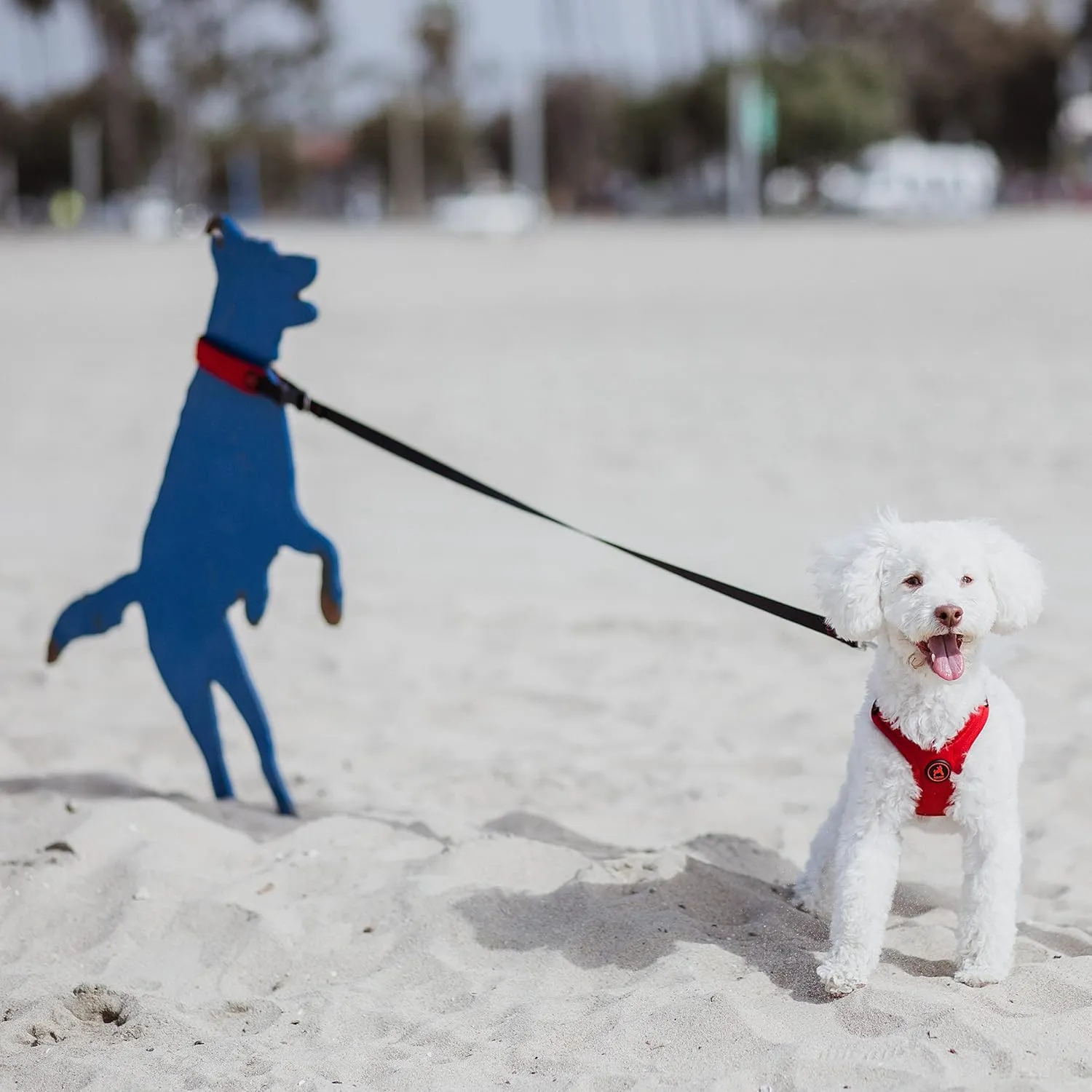 Gooby Escape - Free Sport Leash - Turquoise, 4 FT - Neoprene Dog Leash With Quick Release Buckle - Comfortable On-The-Go For Small, Medium and Large Dogs