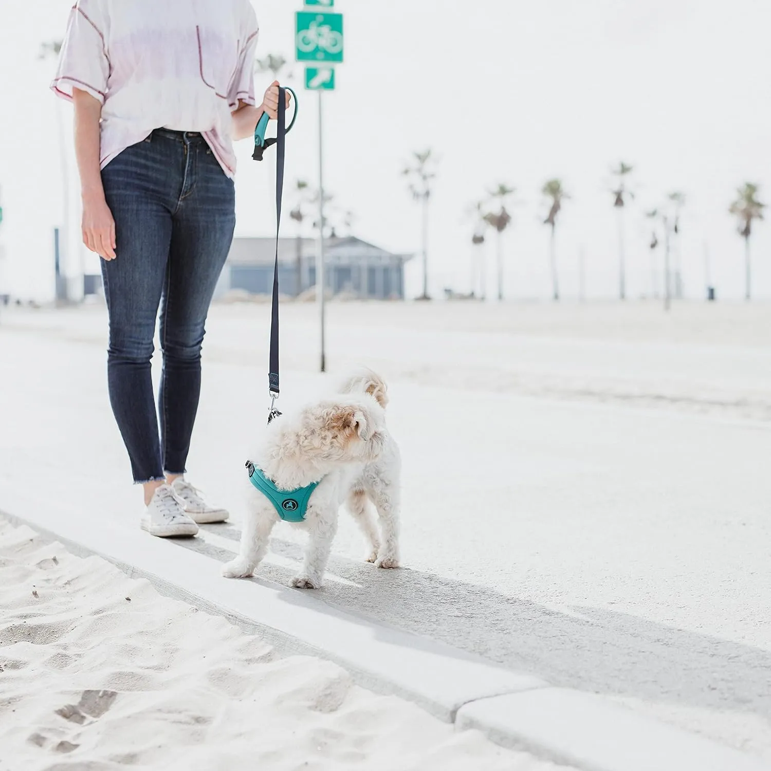 Gooby Escape - Free Sport Leash - Turquoise, 4 FT - Neoprene Dog Leash With Quick Release Buckle - Comfortable On-The-Go For Small, Medium and Large Dogs