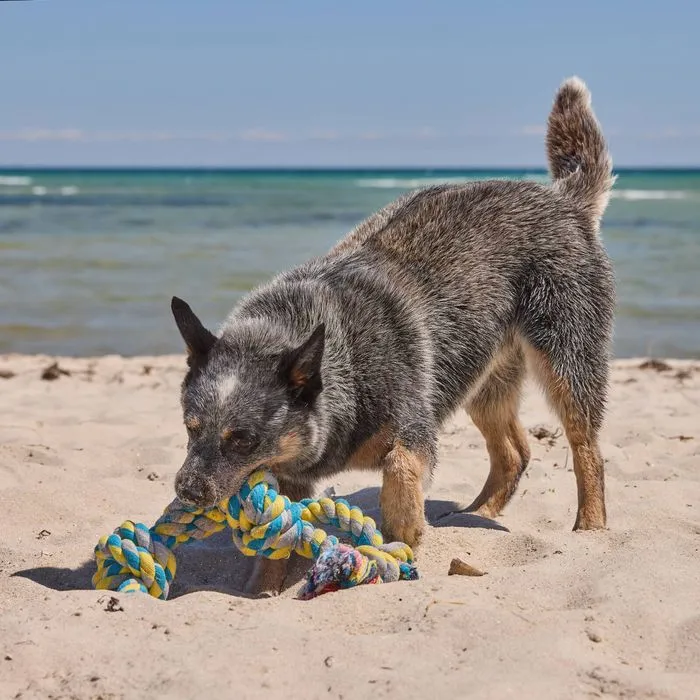 Happy Tails - XL Rope Tug Toy
