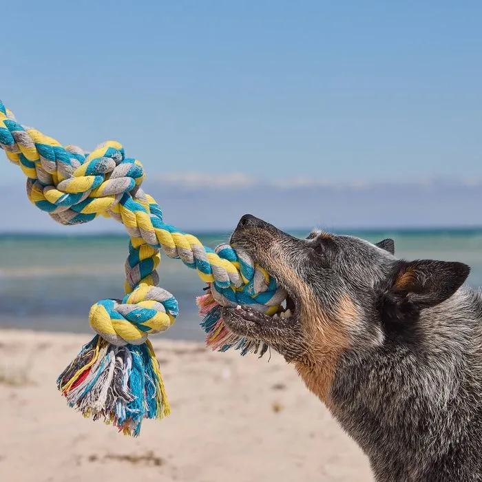 Happy Tails - XL Rope Tug Toy