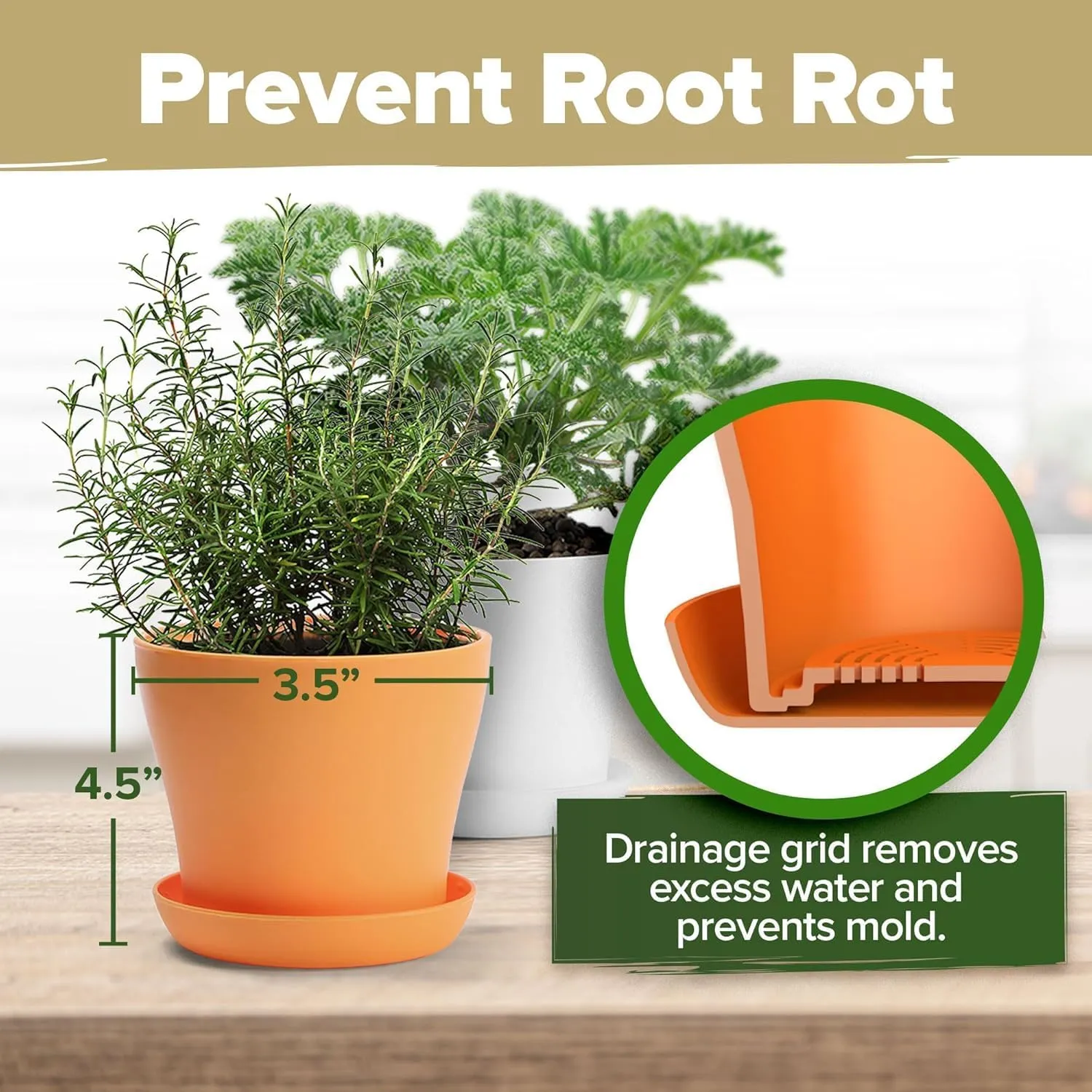 HOME GROWN 𝗗𝗘𝗟𝗨𝗫𝗘 8 Herb Seeds Garden Kit, Complete Indoor Planter Gift with Basil Cilantro Mint & More, Unique Kitchen Growing Set for Women Men, Birthday Housewarming Present