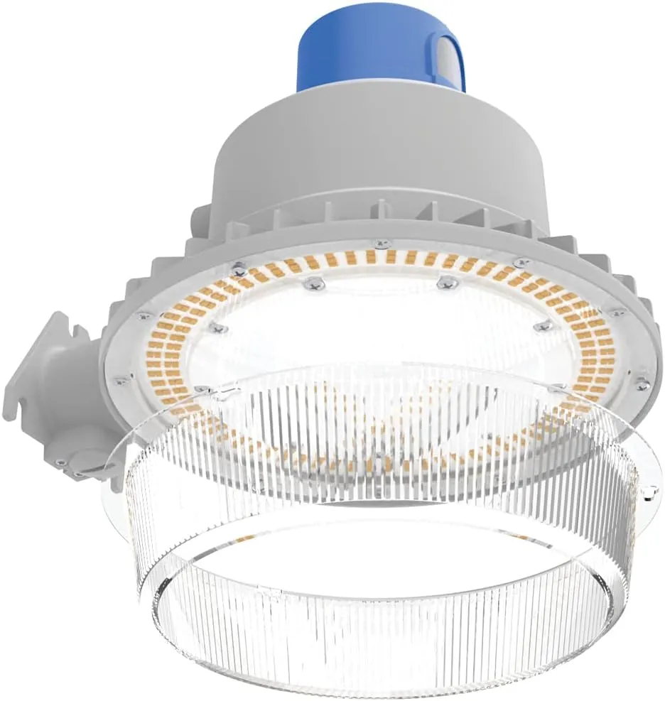 Lithonia Lighting Outdoor LED Dusk Dawn Security Light, Switchable, MVOLT, Photocell Sensor, Gray (BGR ALO SWW2 MVOLT PER DNA M2)