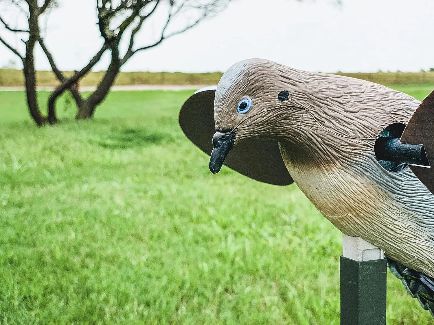 MOJO Elite Series Dove Spinning Wing Dove Decoy for Dove Hunting