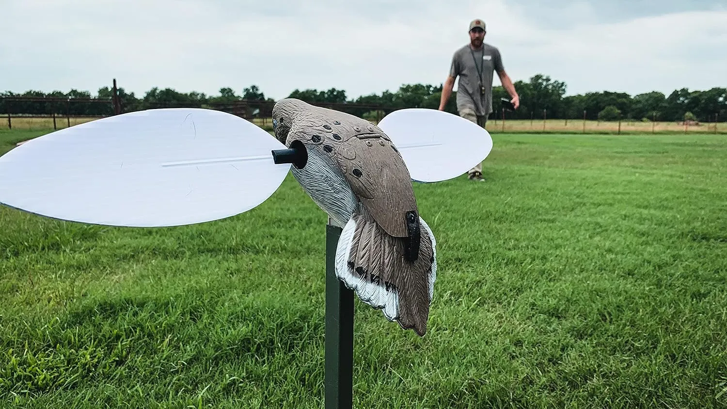 MOJO Elite Series Dove Spinning Wing Dove Decoy for Dove Hunting