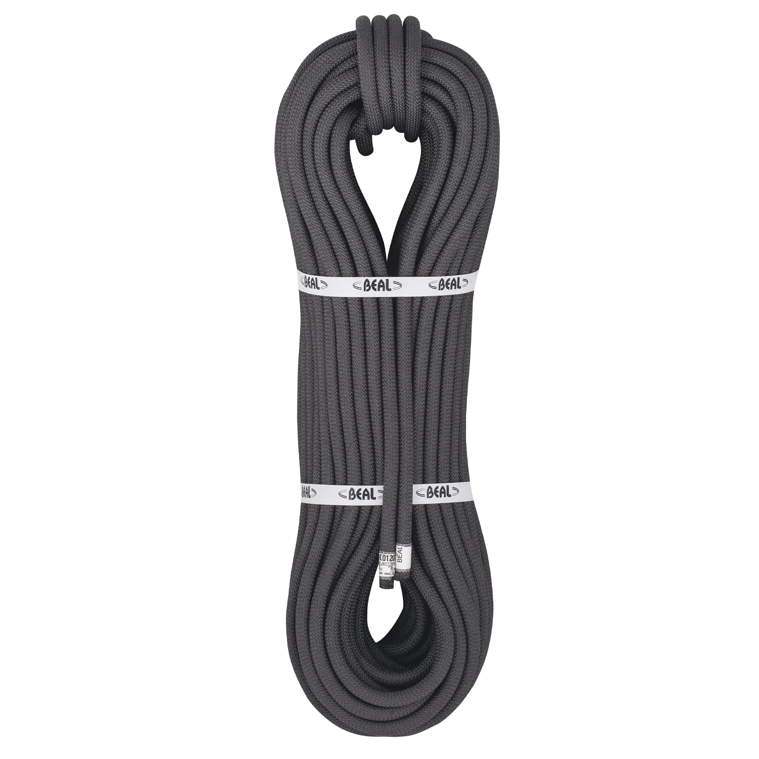 RAIDER 10.5MM