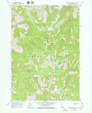Sleeping Deer Mountain ID topo map, 1:24000 Scale, 7.5 X 7.5 Minute, Historical, 1963, Updated 1979, 27.1 x 22 in