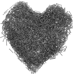 Stainless Steel Wall Nails 1 Bag Concrete Nails Point Tip Nails Finishing Nails Assorted Nails Kit Home Improvement