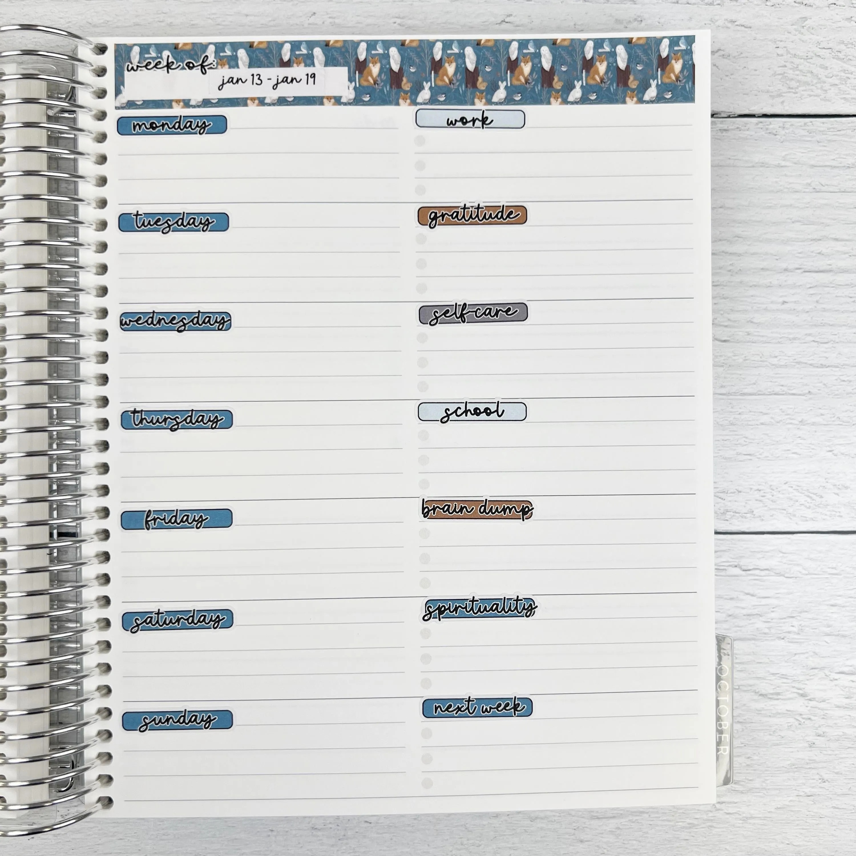 Summer Fruit Kit | Freestyle Kit Any Planner Kit Stickers | Ripe | KIT-389-K