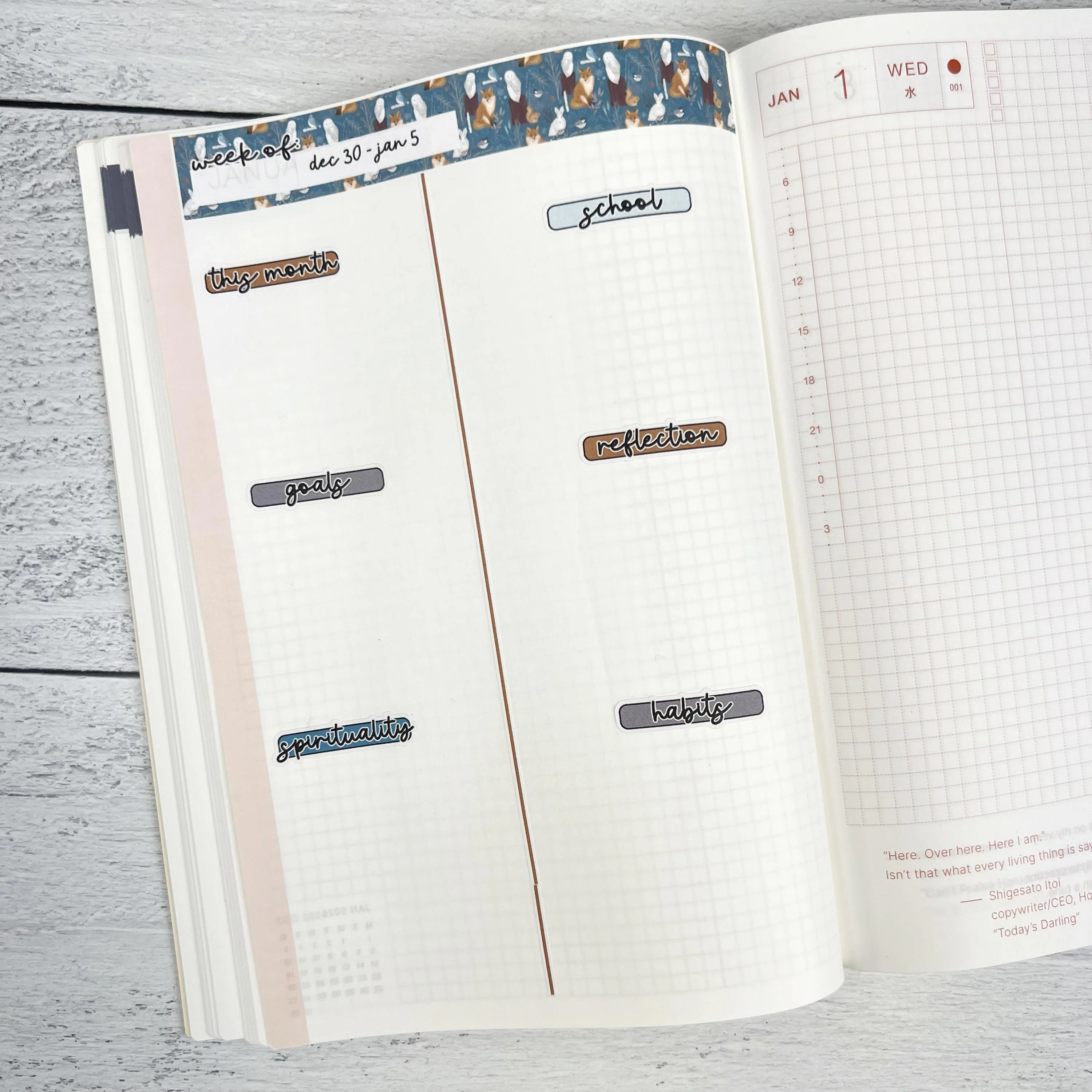 Summer Fruit Kit | Freestyle Kit Any Planner Kit Stickers | Ripe | KIT-389-K