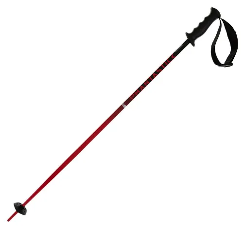 Volkl Phantatstick Jr