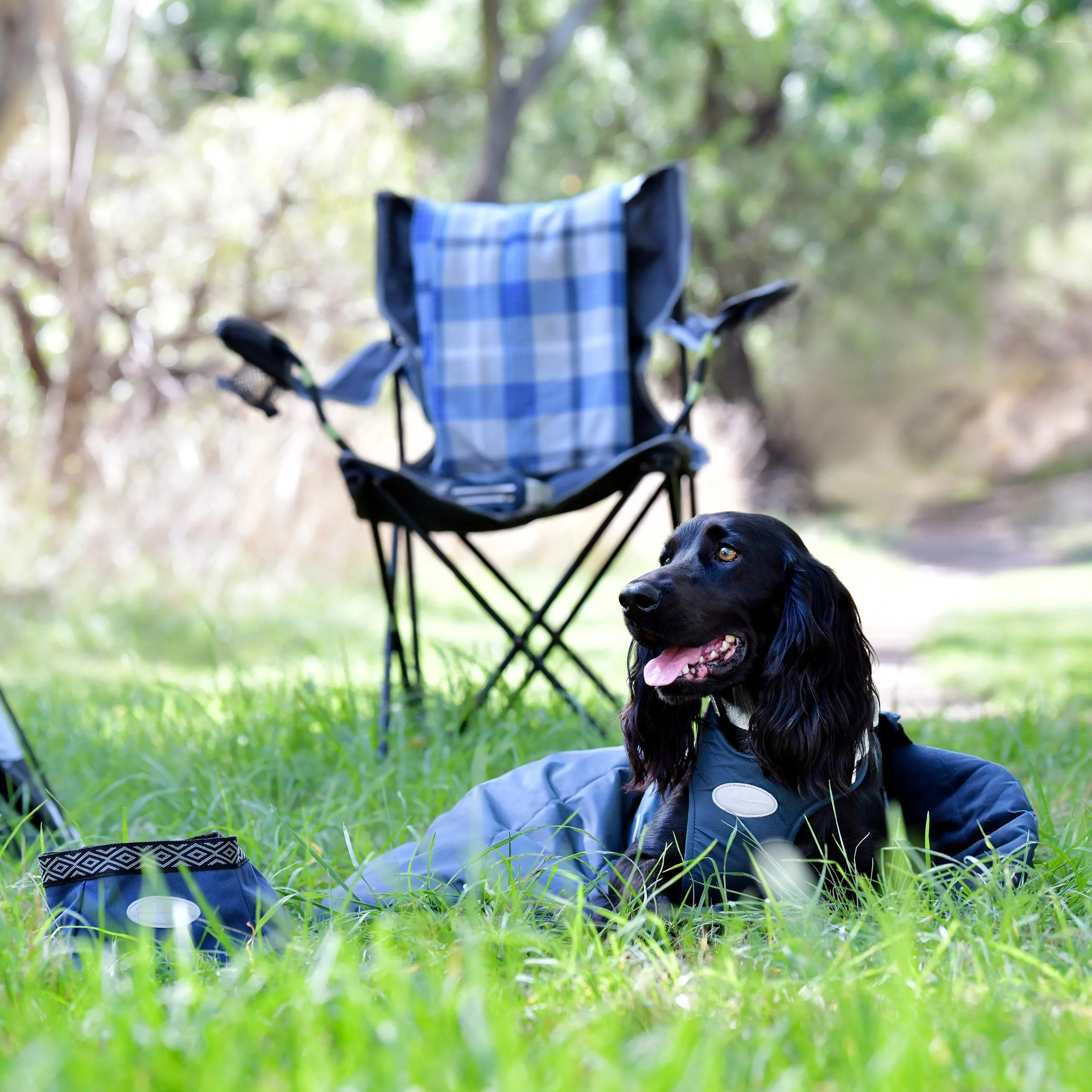 Weatherbeeta Explorer Dog Sleeping Bag