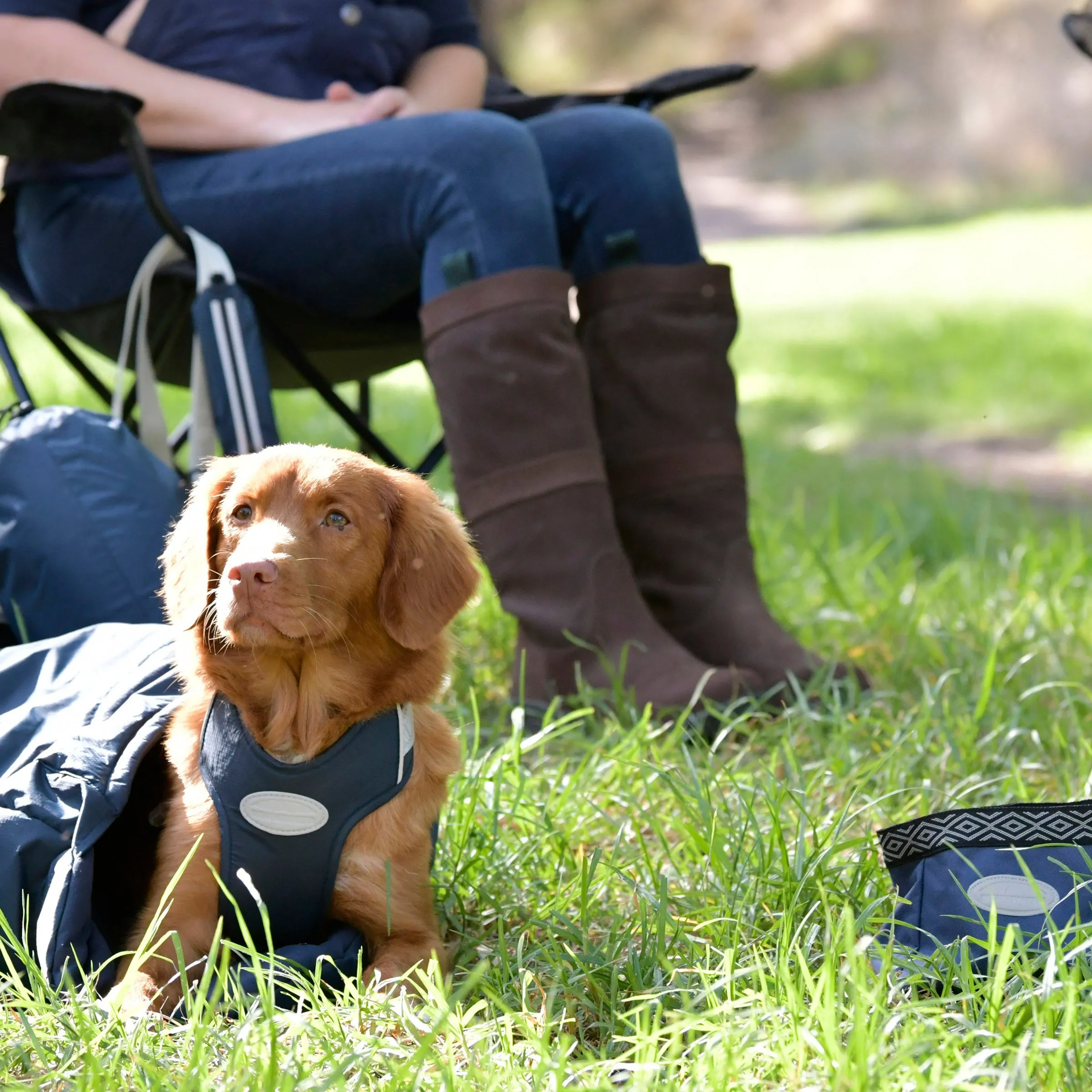 Weatherbeeta Explorer Dog Sleeping Bag